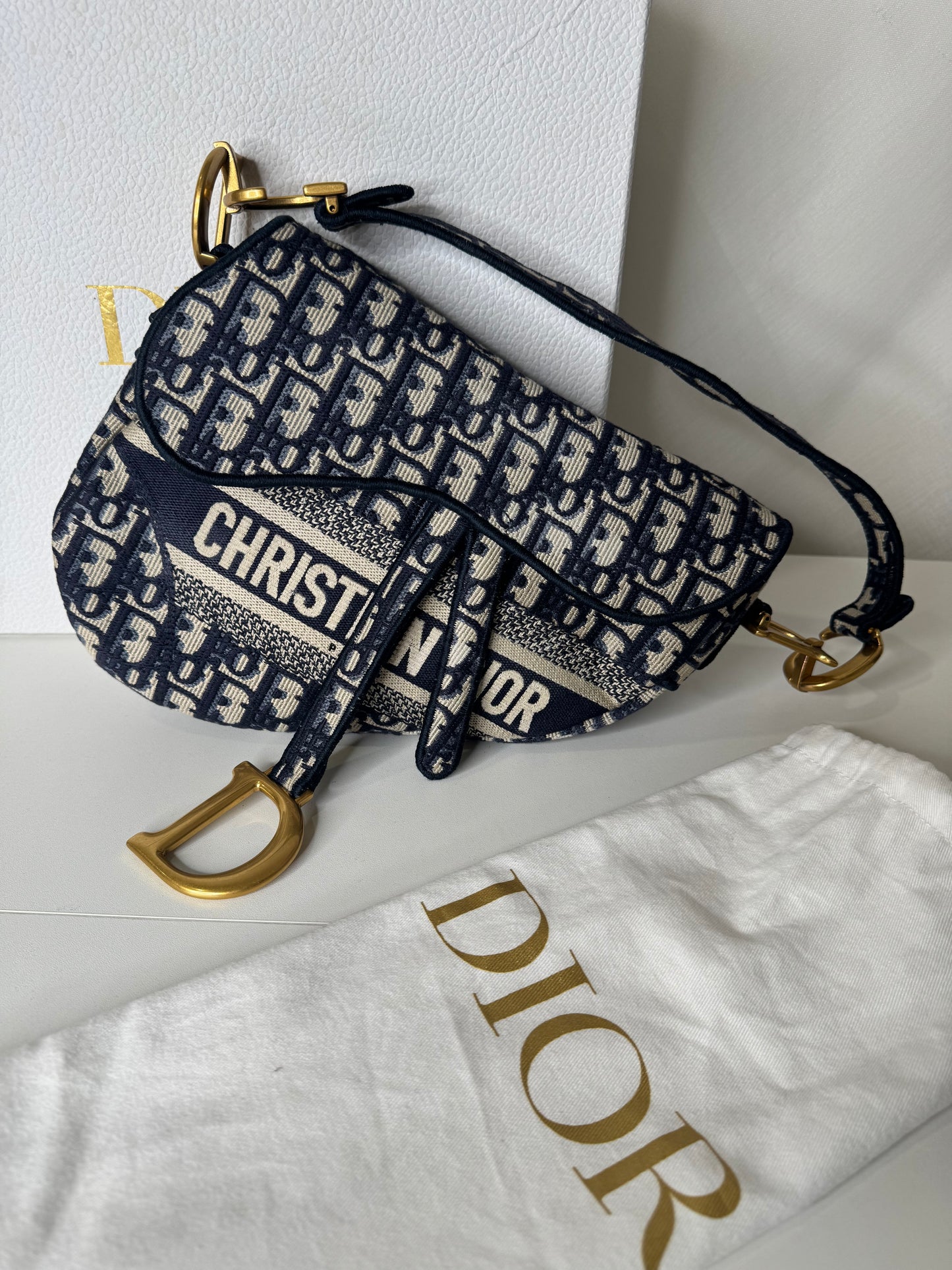 Dior Saddle Oblique Canvas