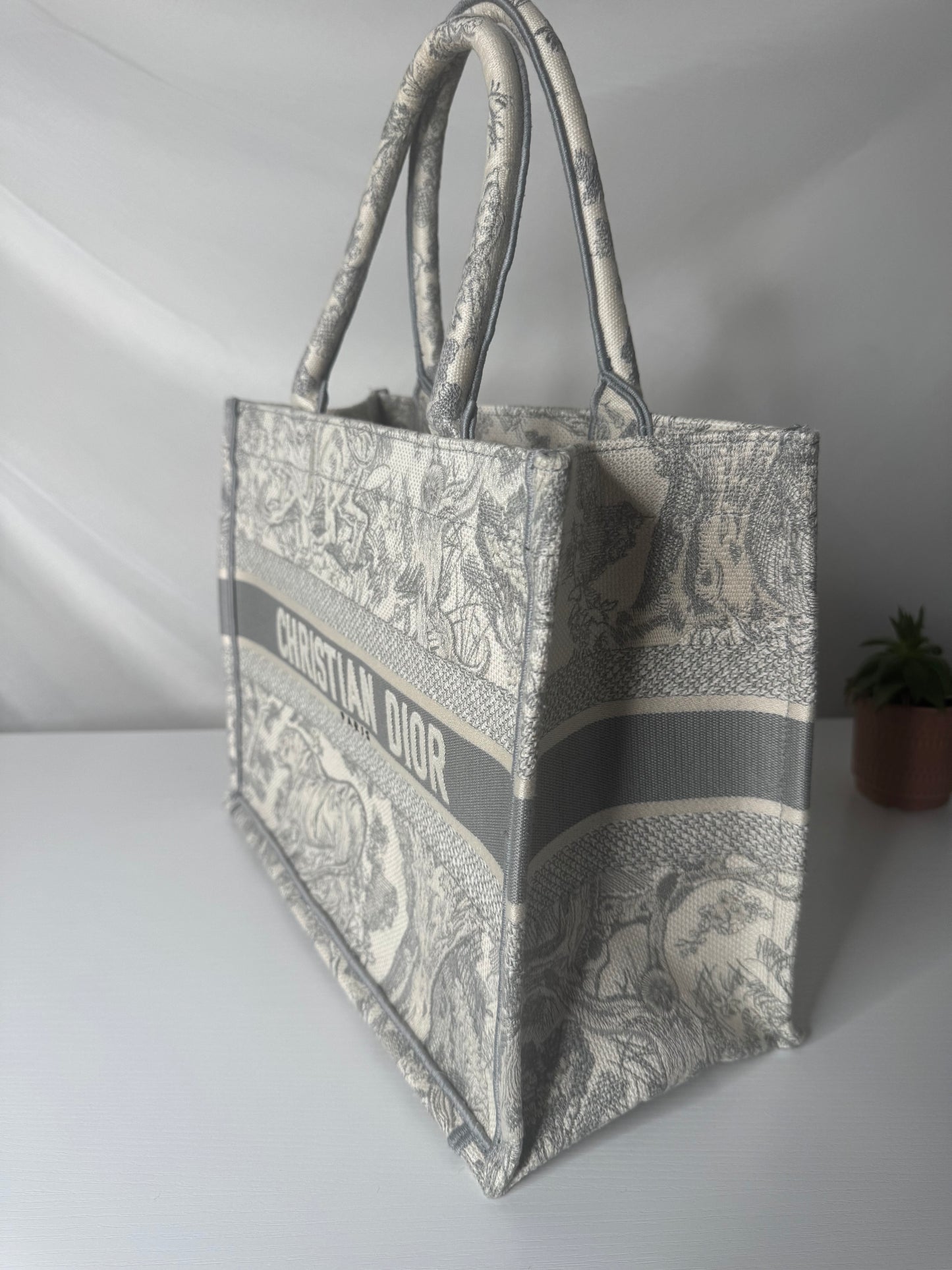 Dior Book Tote Medium