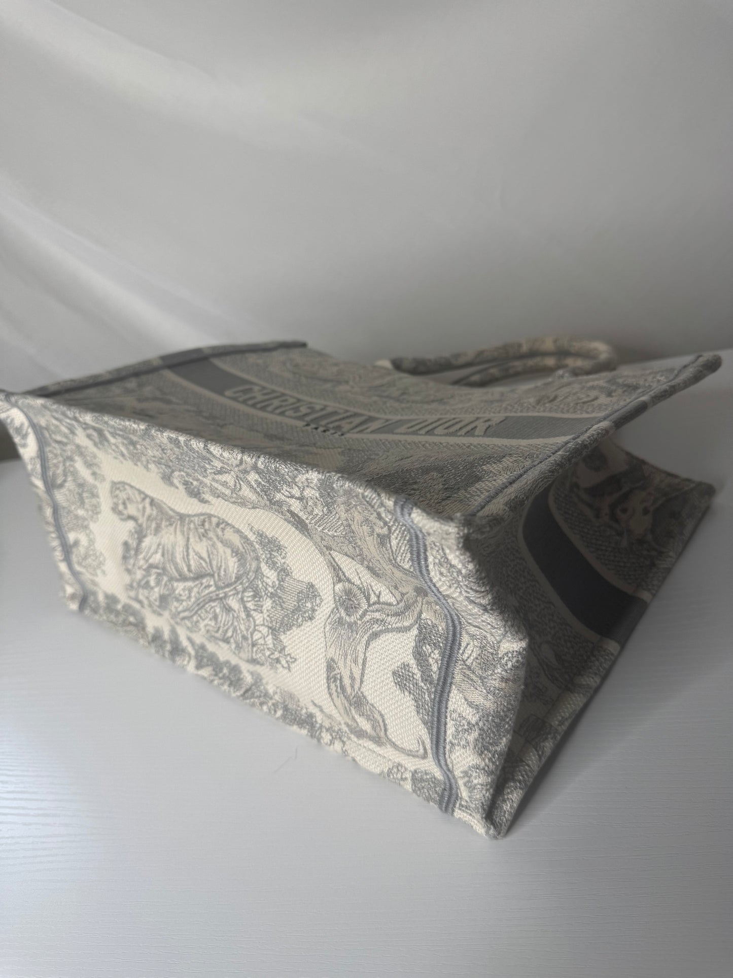 Dior Book Tote Medium