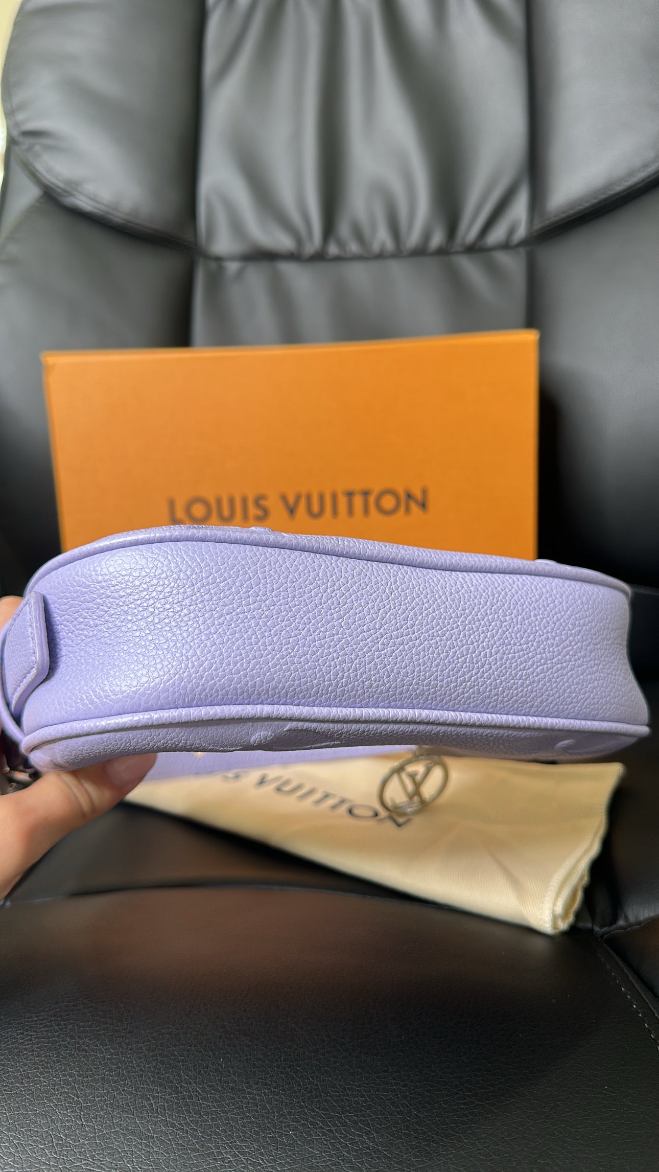LV Mini Moon Bag