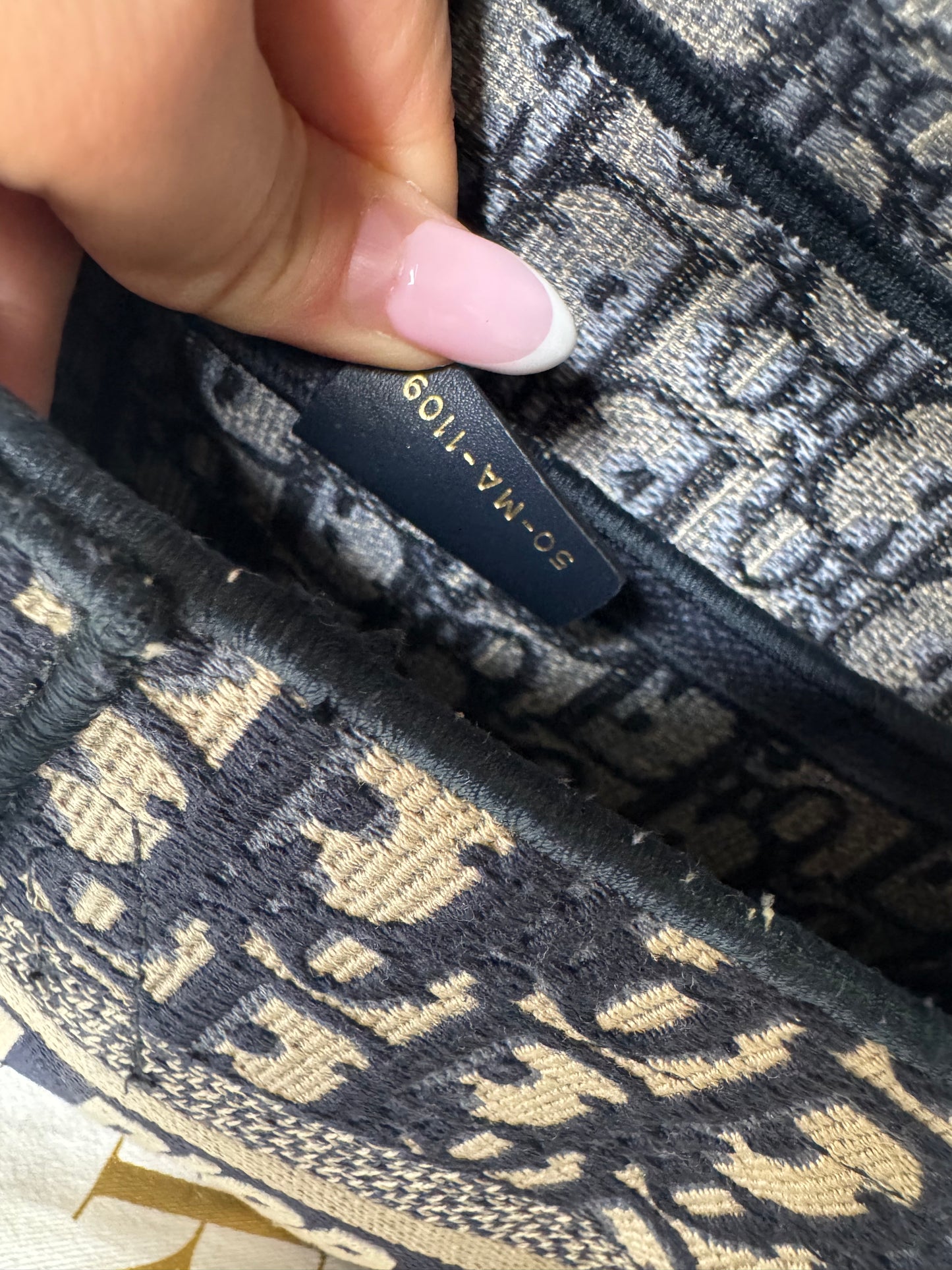 Dior Saddle Oblique Canvas