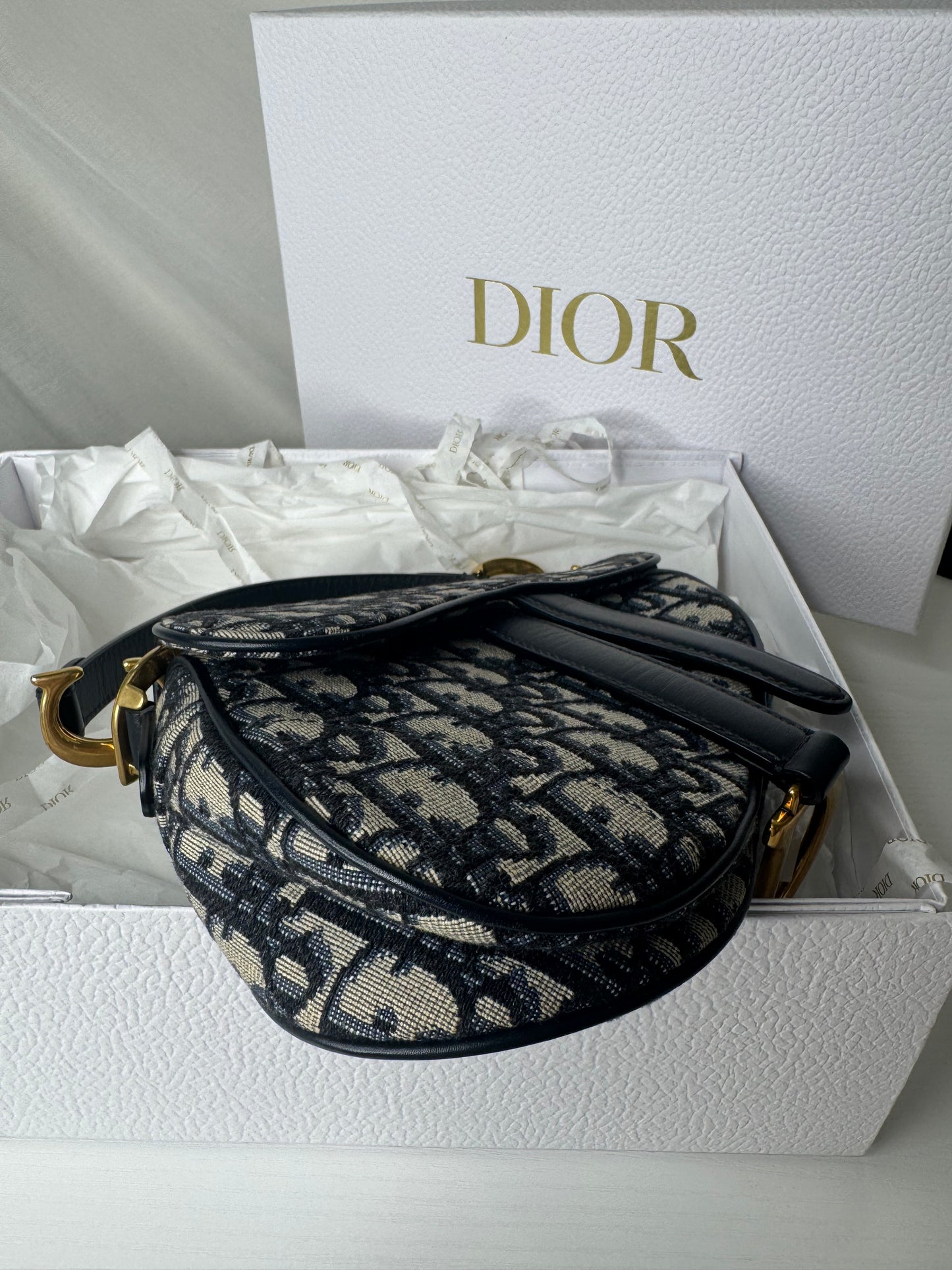 Dior Mini Oblique Saddle