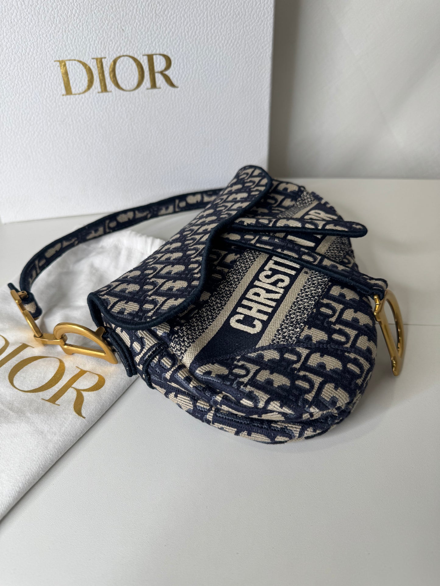 Dior Saddle Oblique Canvas