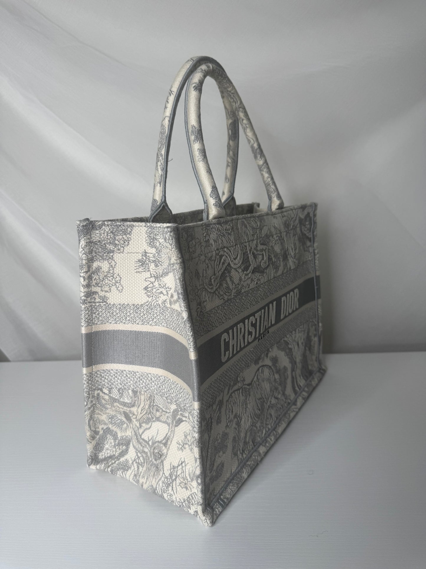 Dior Book Tote Medium