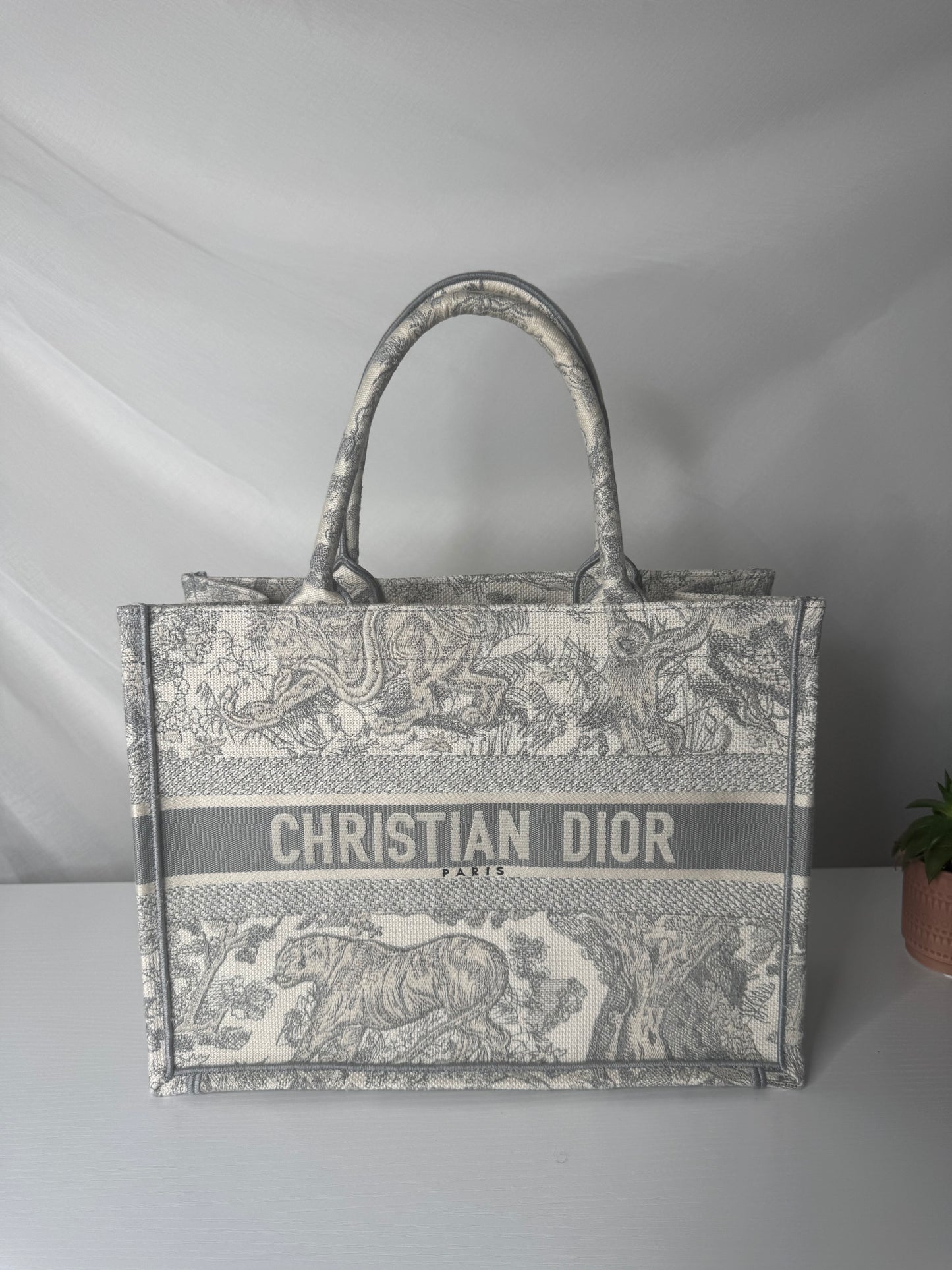 Dior Book Tote Medium