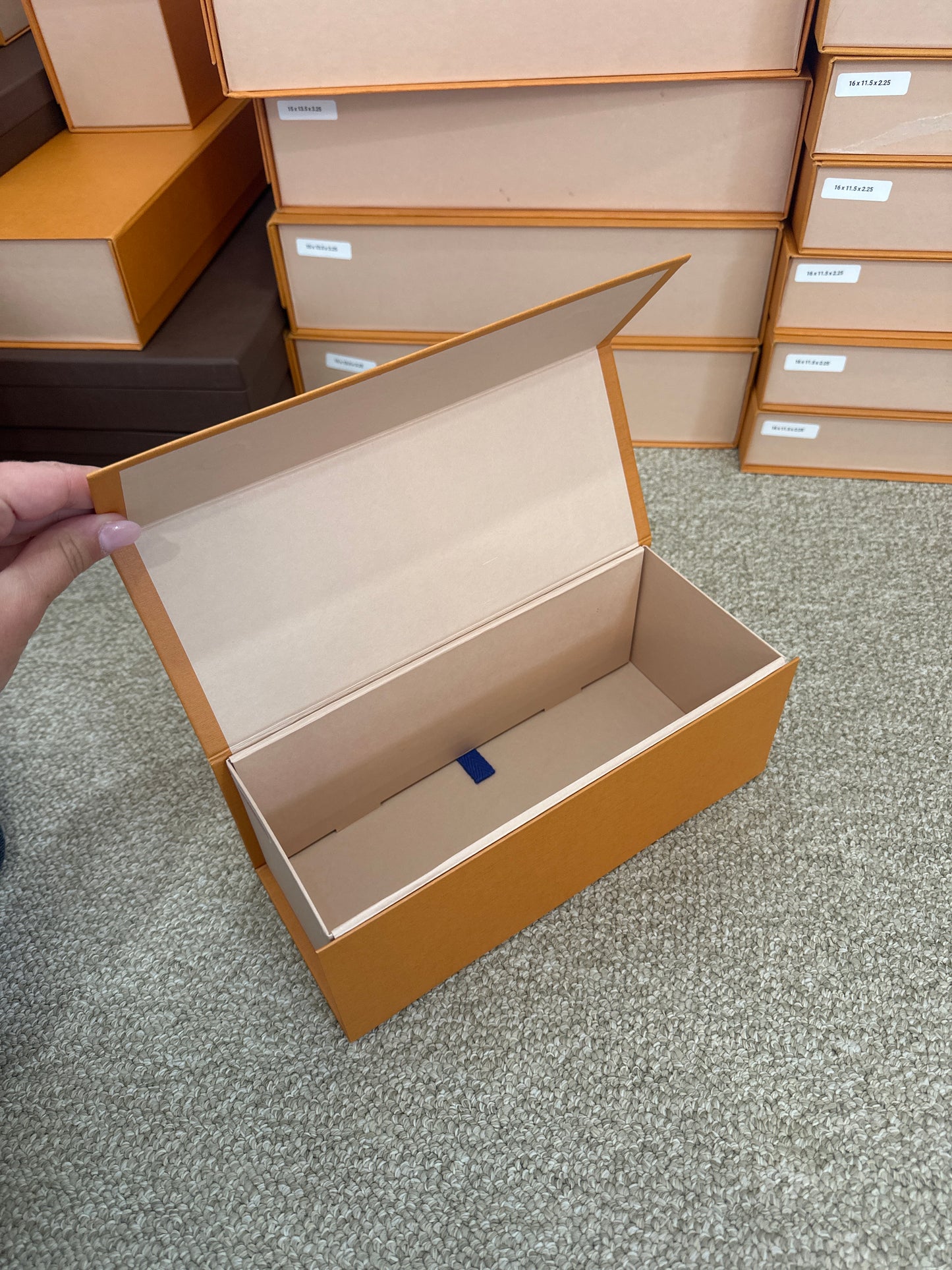 LV Box