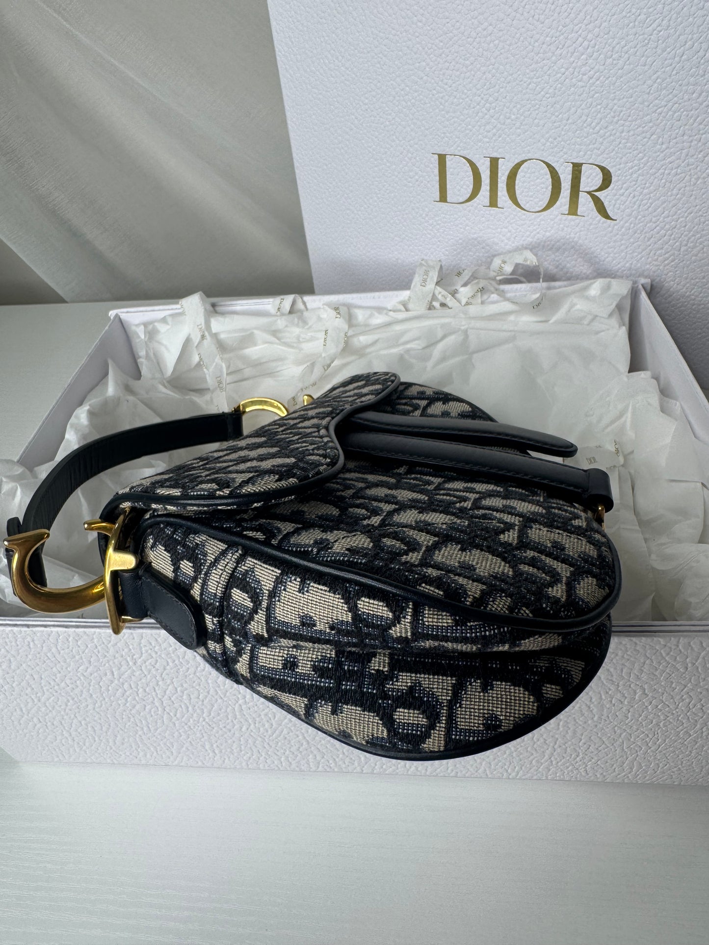 Dior Mini Oblique Saddle