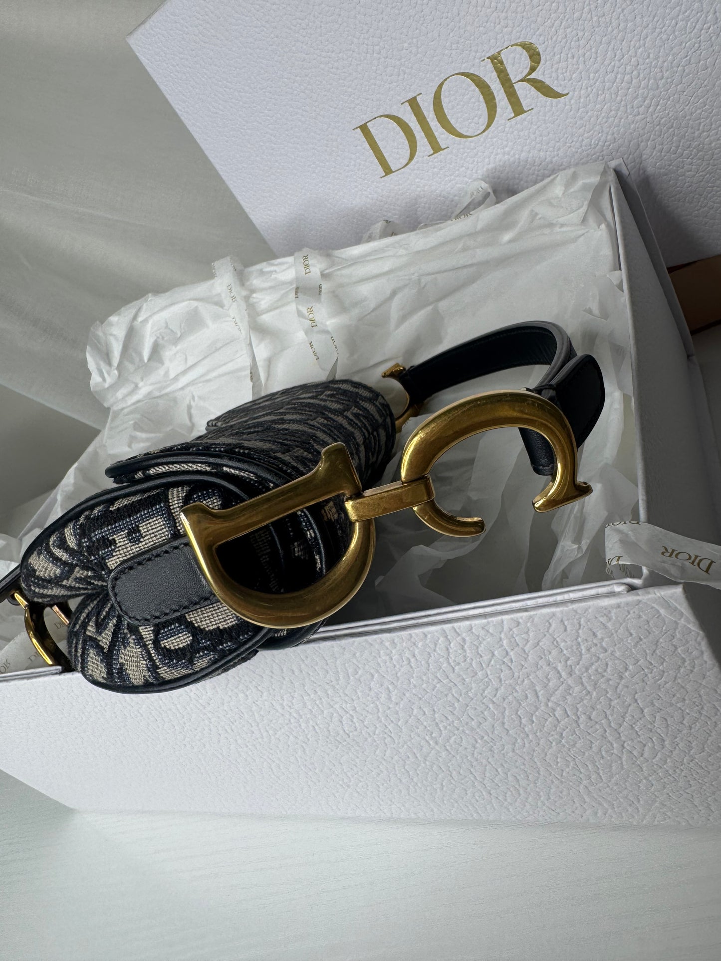 Dior Mini Oblique Saddle