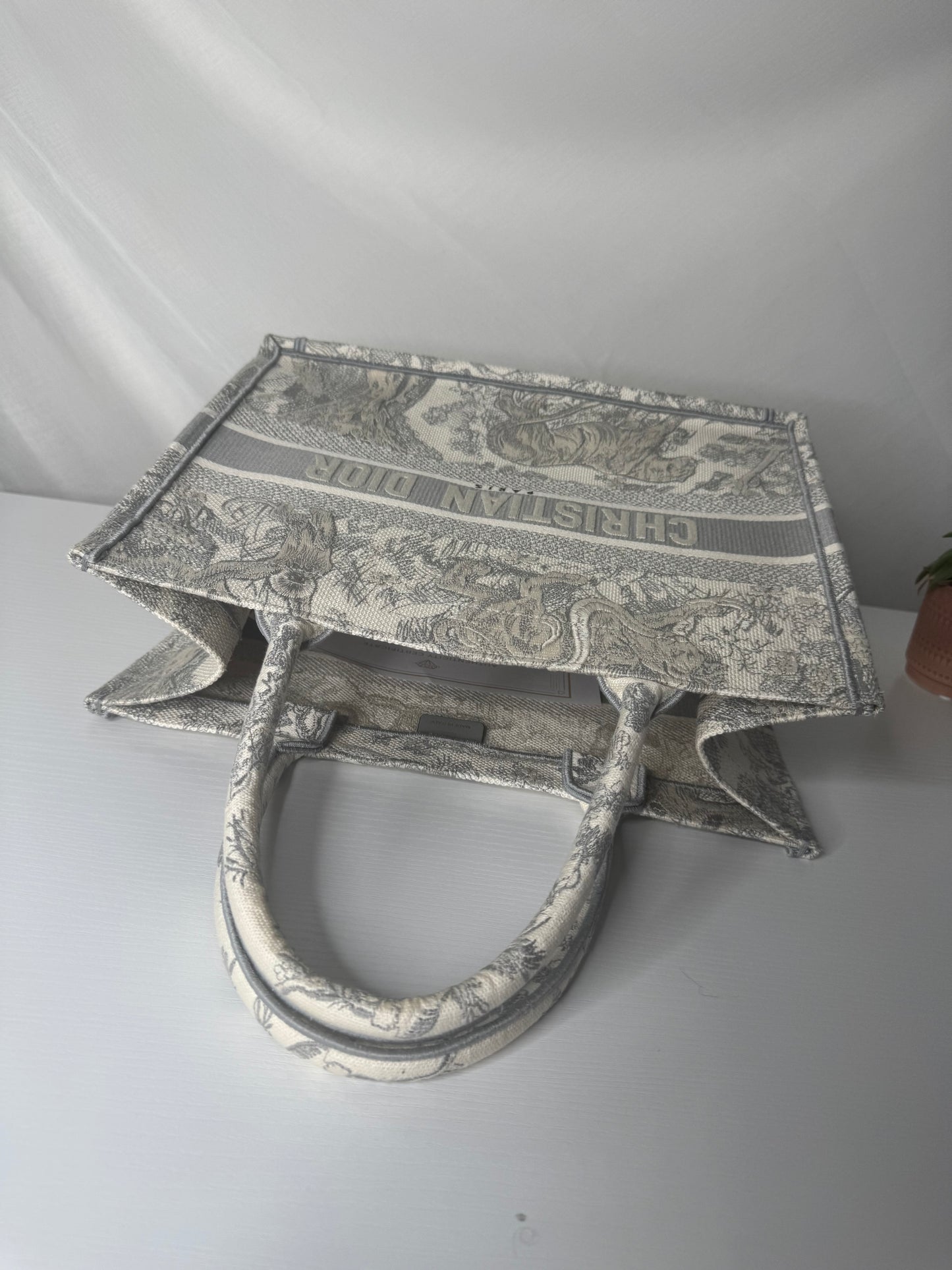 Dior Book Tote Medium