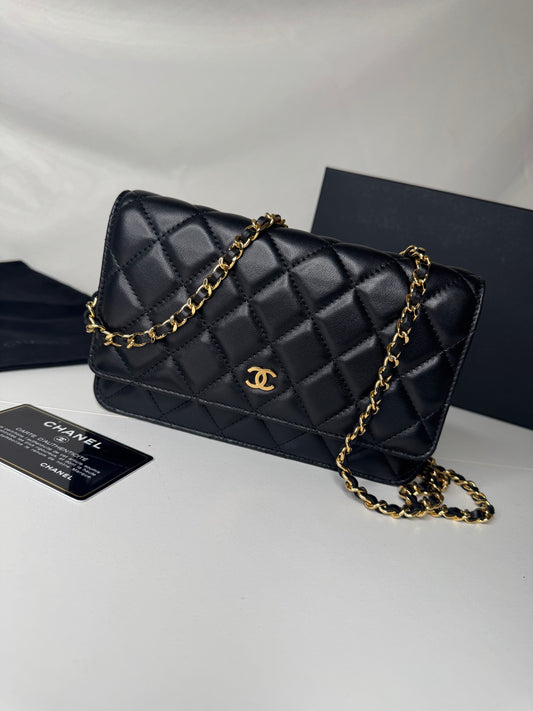 Chanel WOC Lambskin GHW