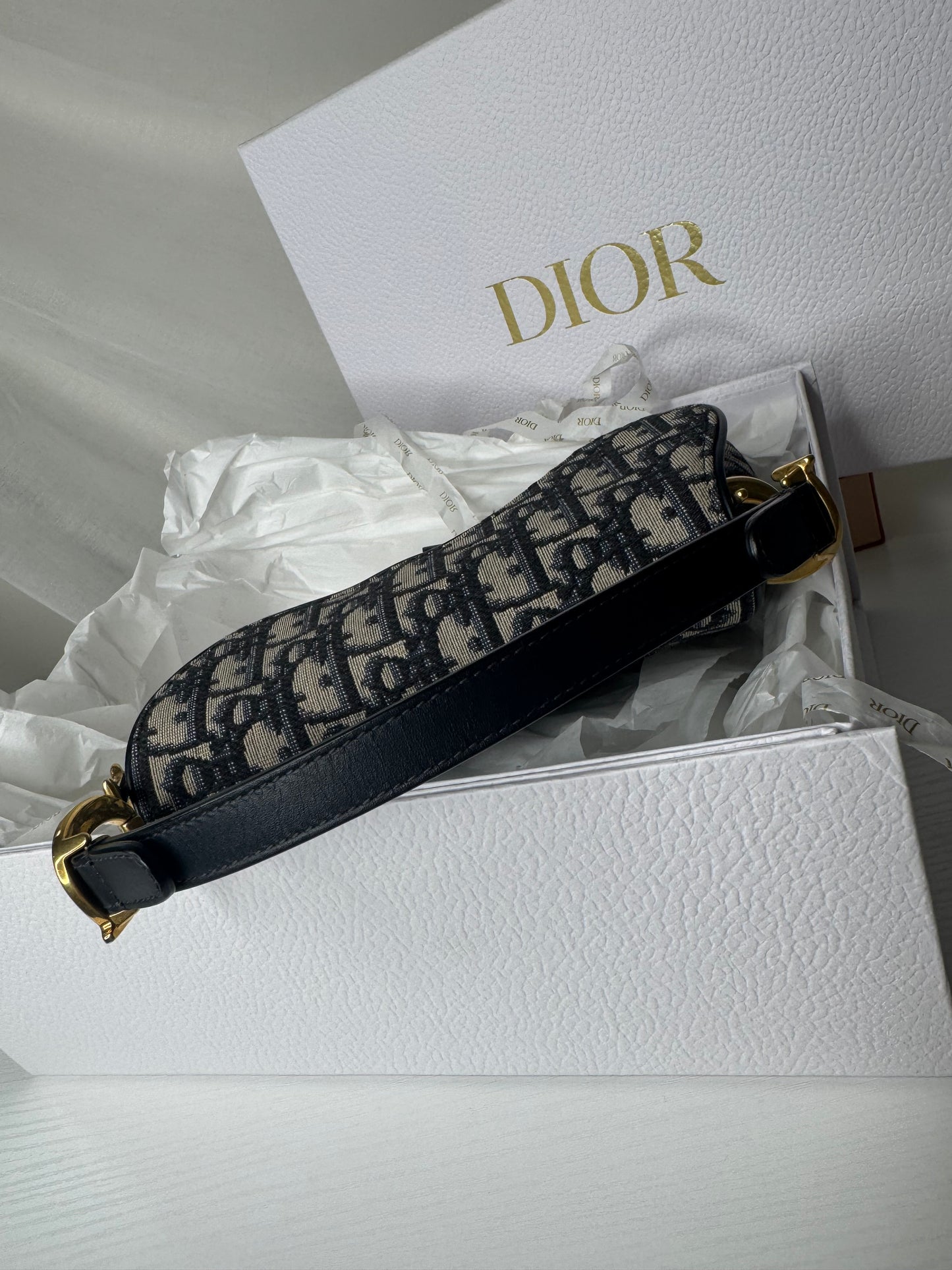 Dior Mini Oblique Saddle