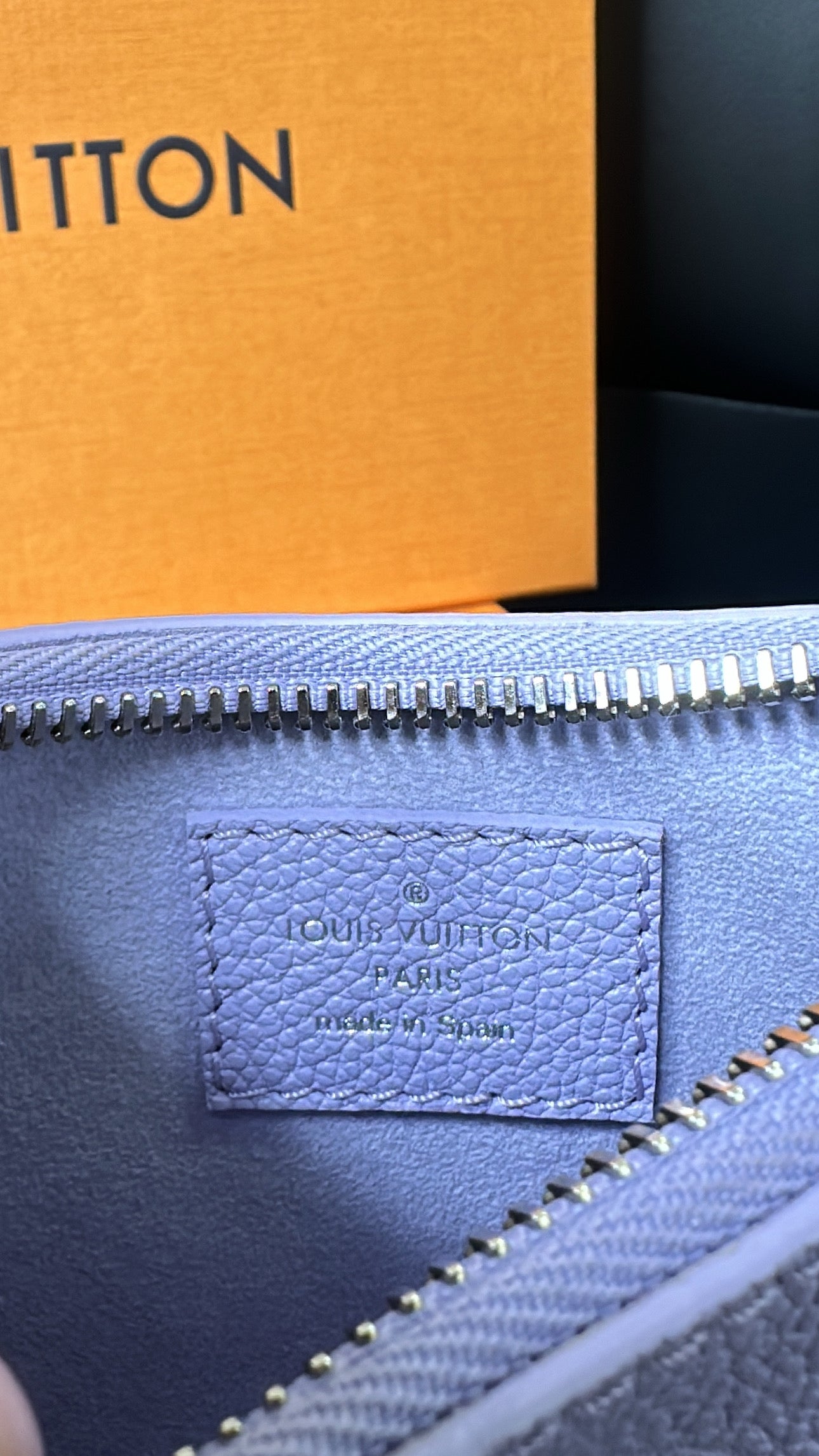 LV Mini Moon Bag