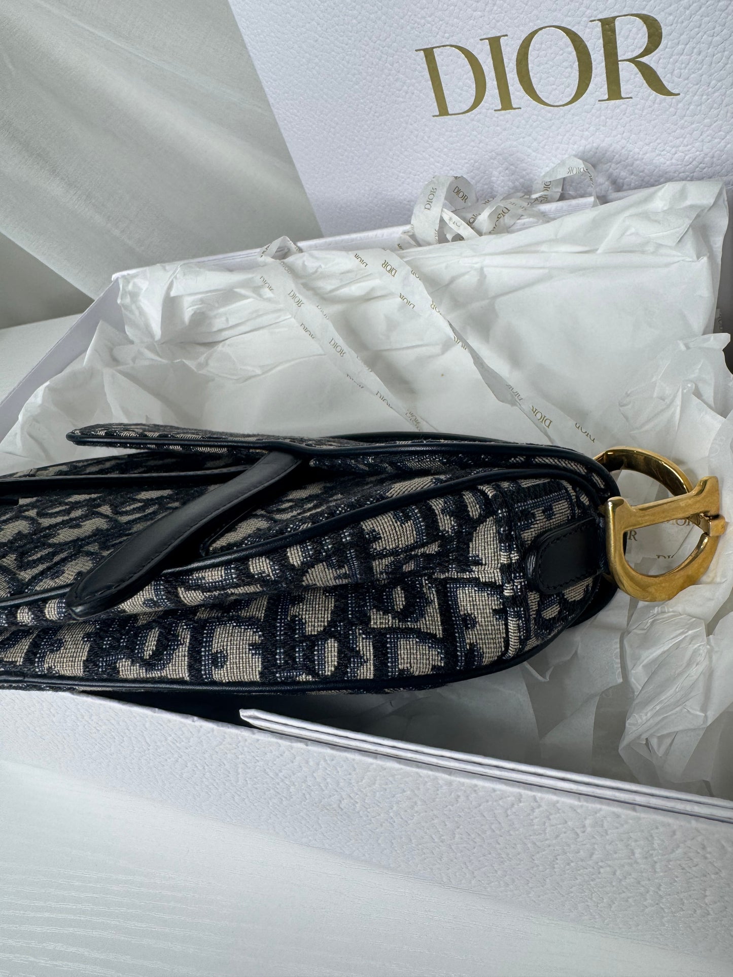 Dior Mini Oblique Saddle