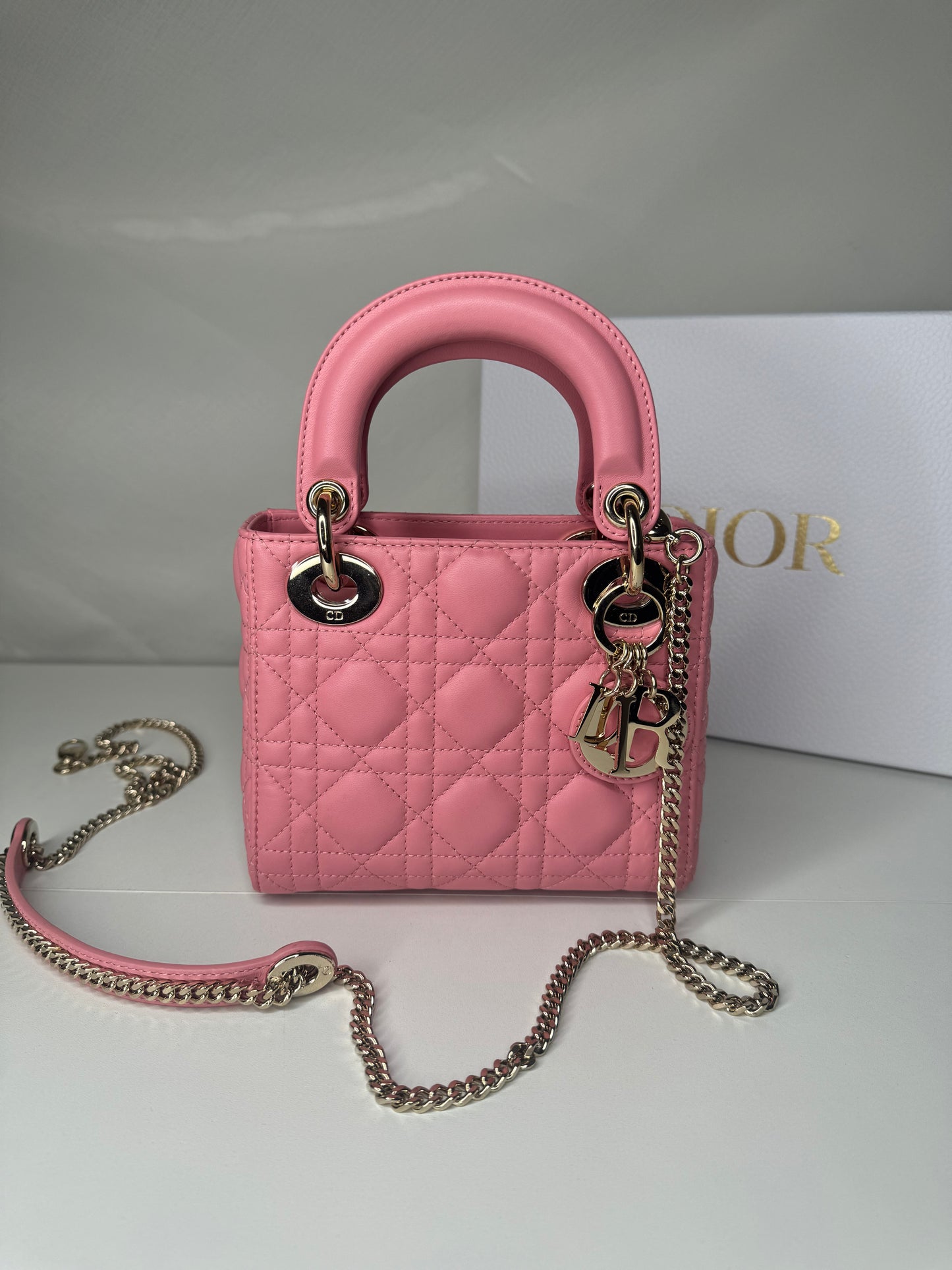Mini Lady Dior