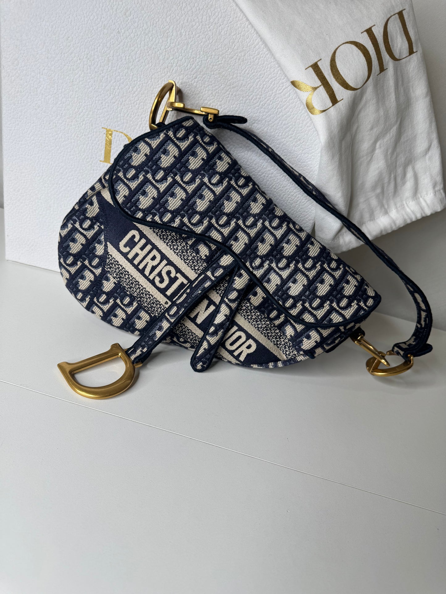 Dior Saddle Oblique Canvas