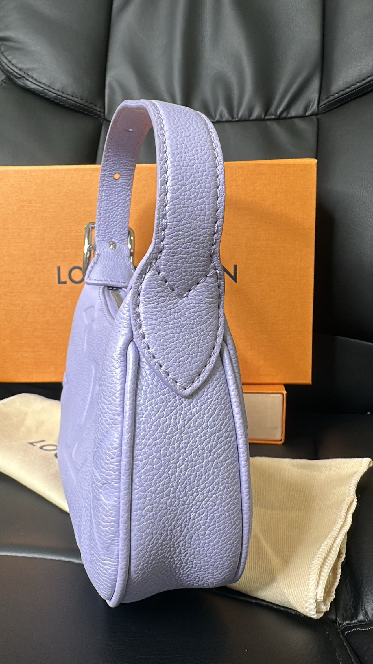 LV Mini Moon Bag