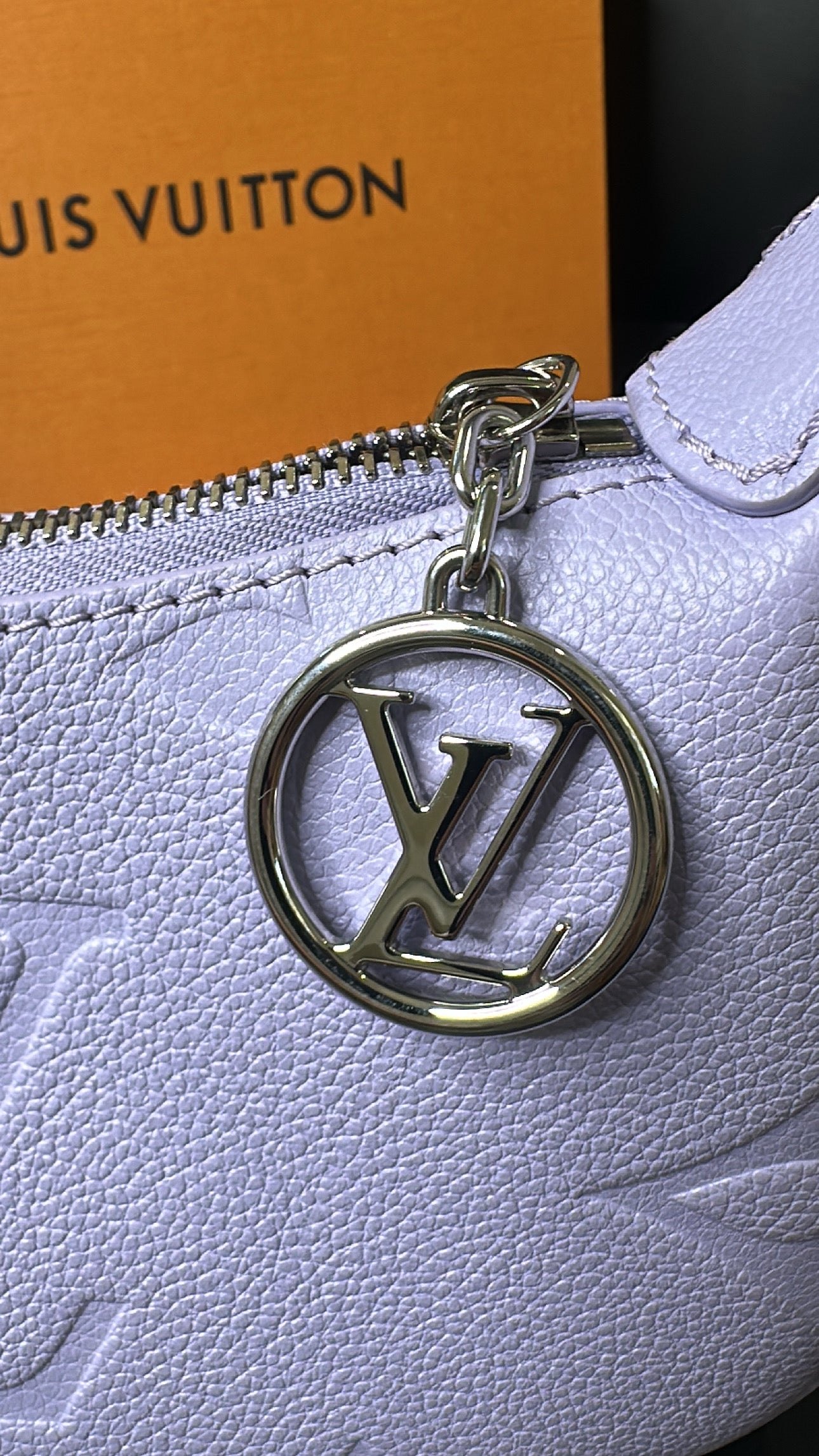 LV Mini Moon Bag