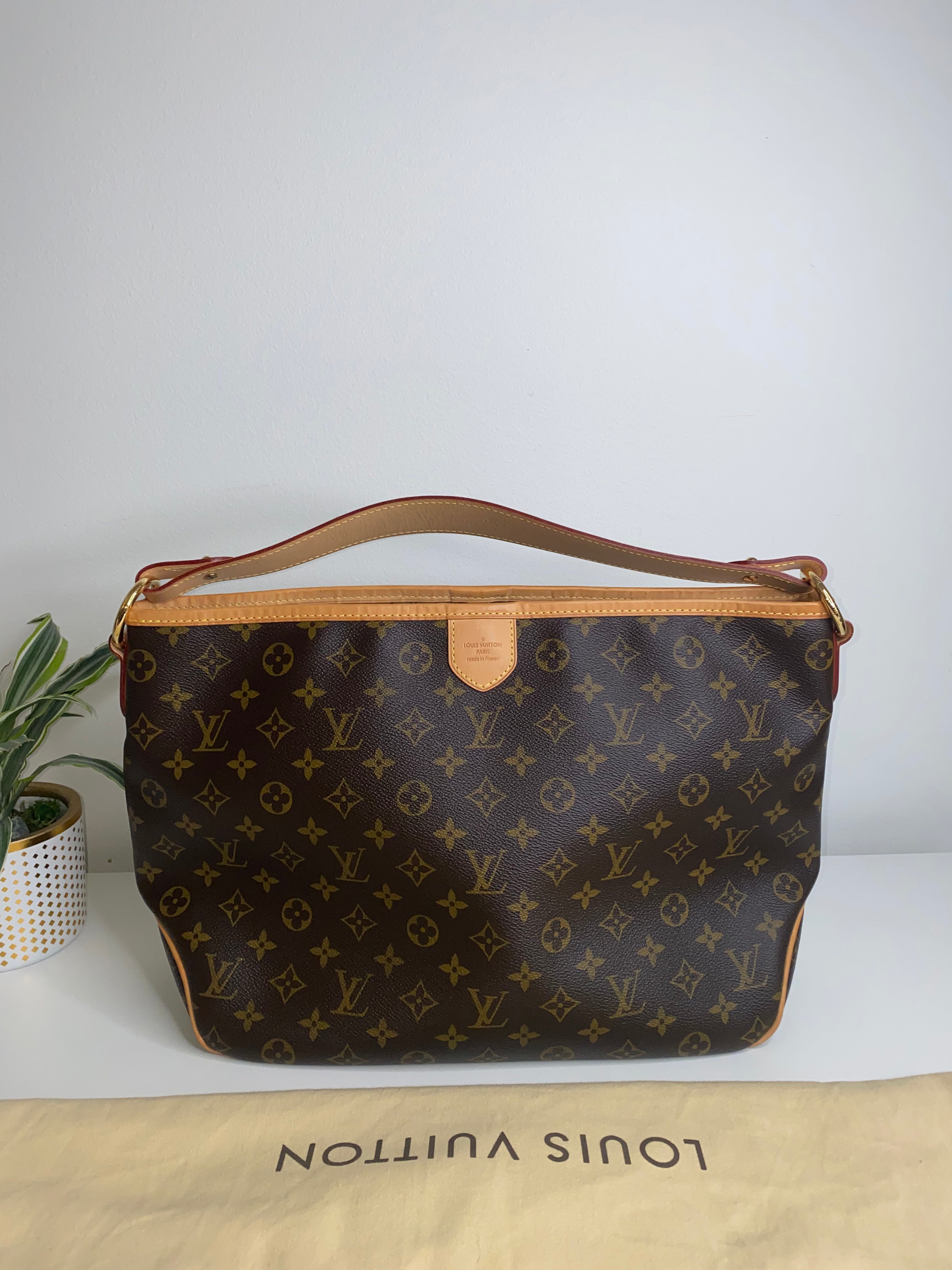 Shop for Louis Vuitton Monogram Canvas Leather Delightful PM Bag