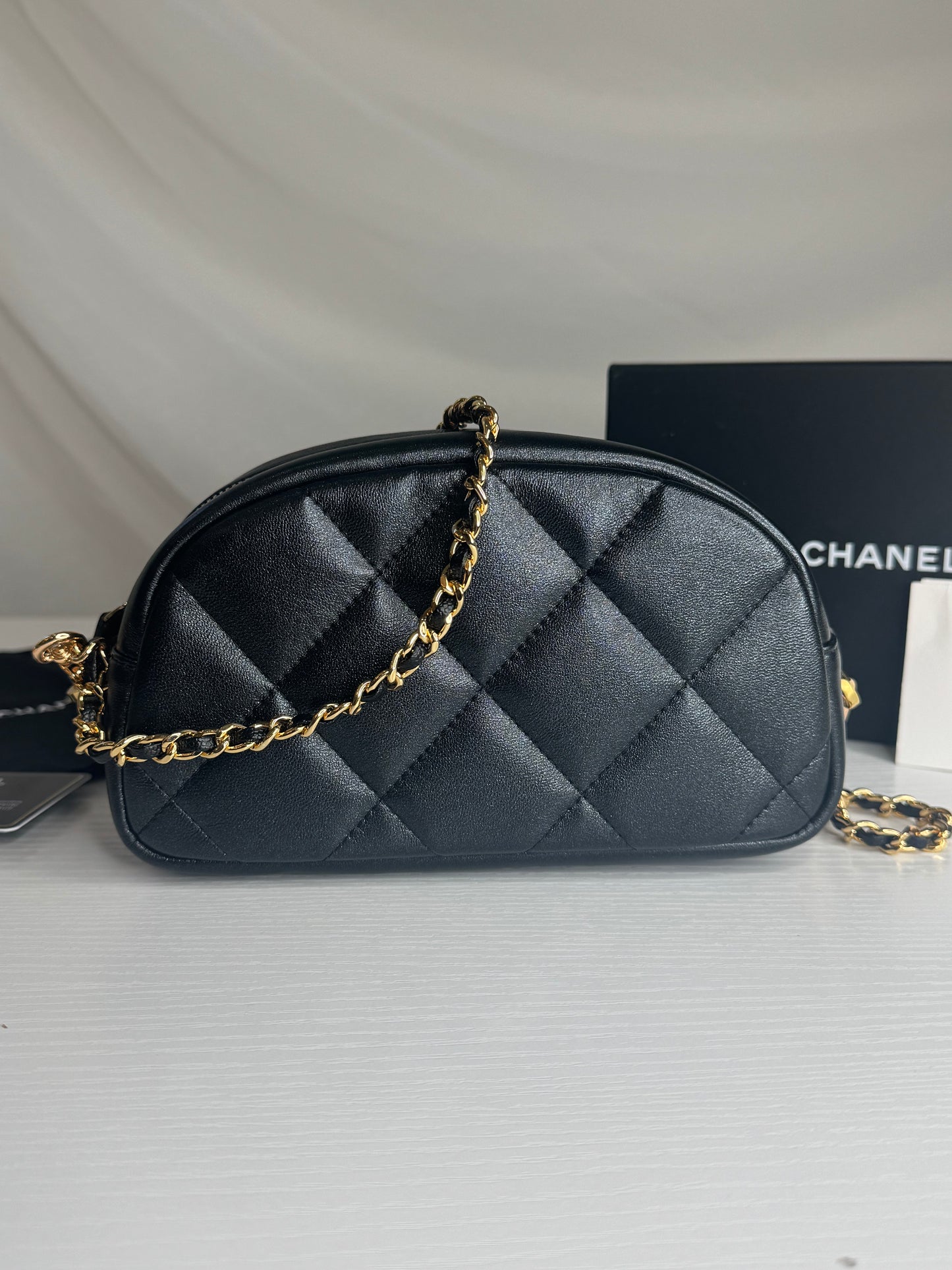 Chanel Iridescent Cosmetic Pouch