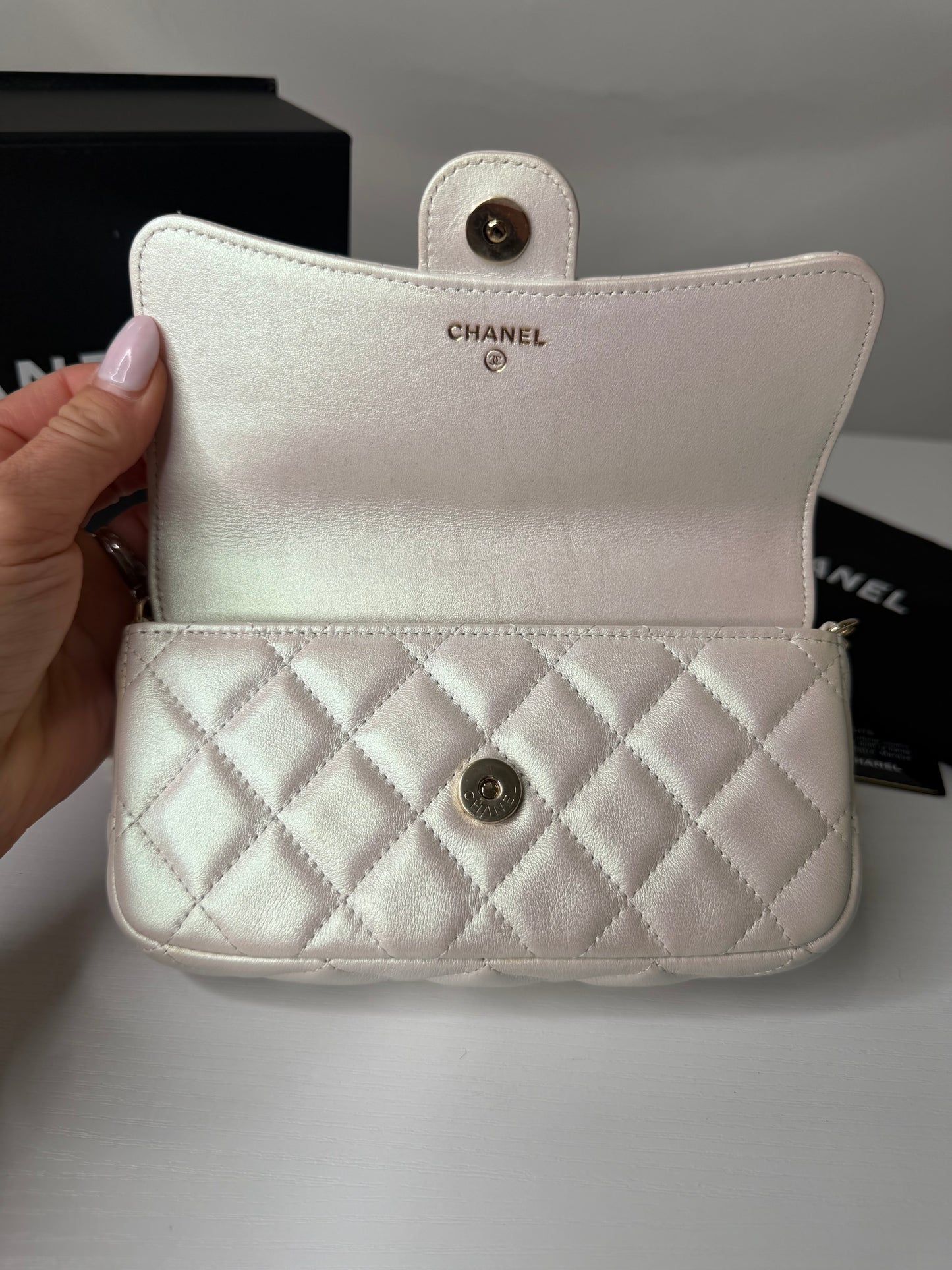 Chanel Iridescent Flap Bag