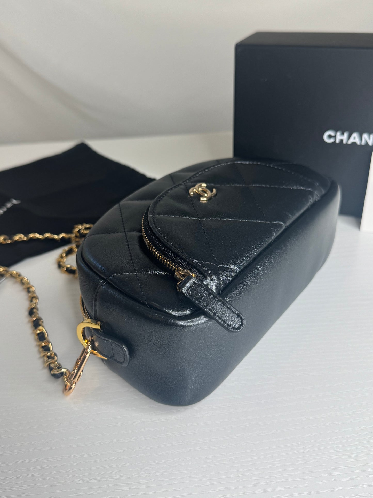 Chanel Iridescent Cosmetic Pouch