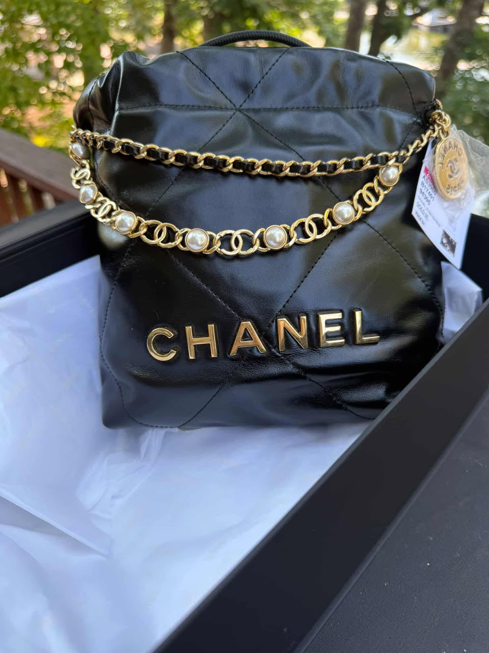 Chanel 22 Pearl Mini
