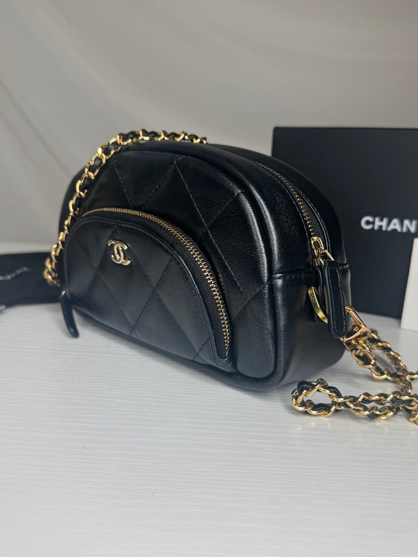 Chanel Iridescent Cosmetic Pouch