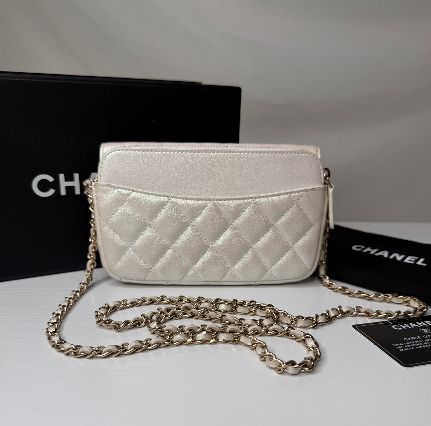 Chanel Iridescent Flap Bag