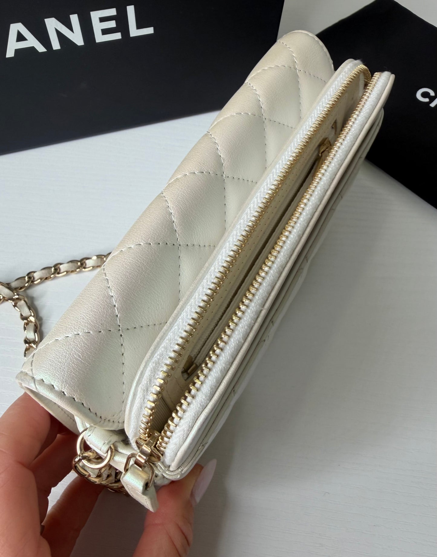Chanel Iridescent Flap Bag