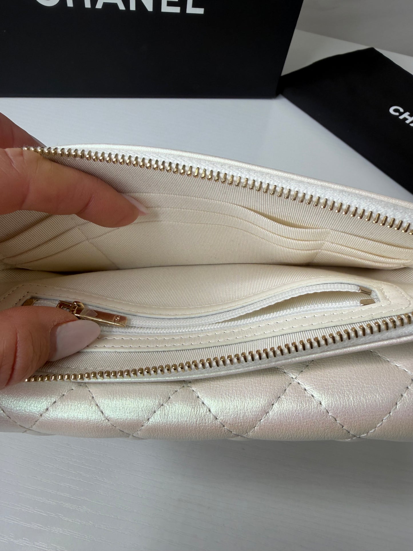 Chanel Iridescent Flap Bag