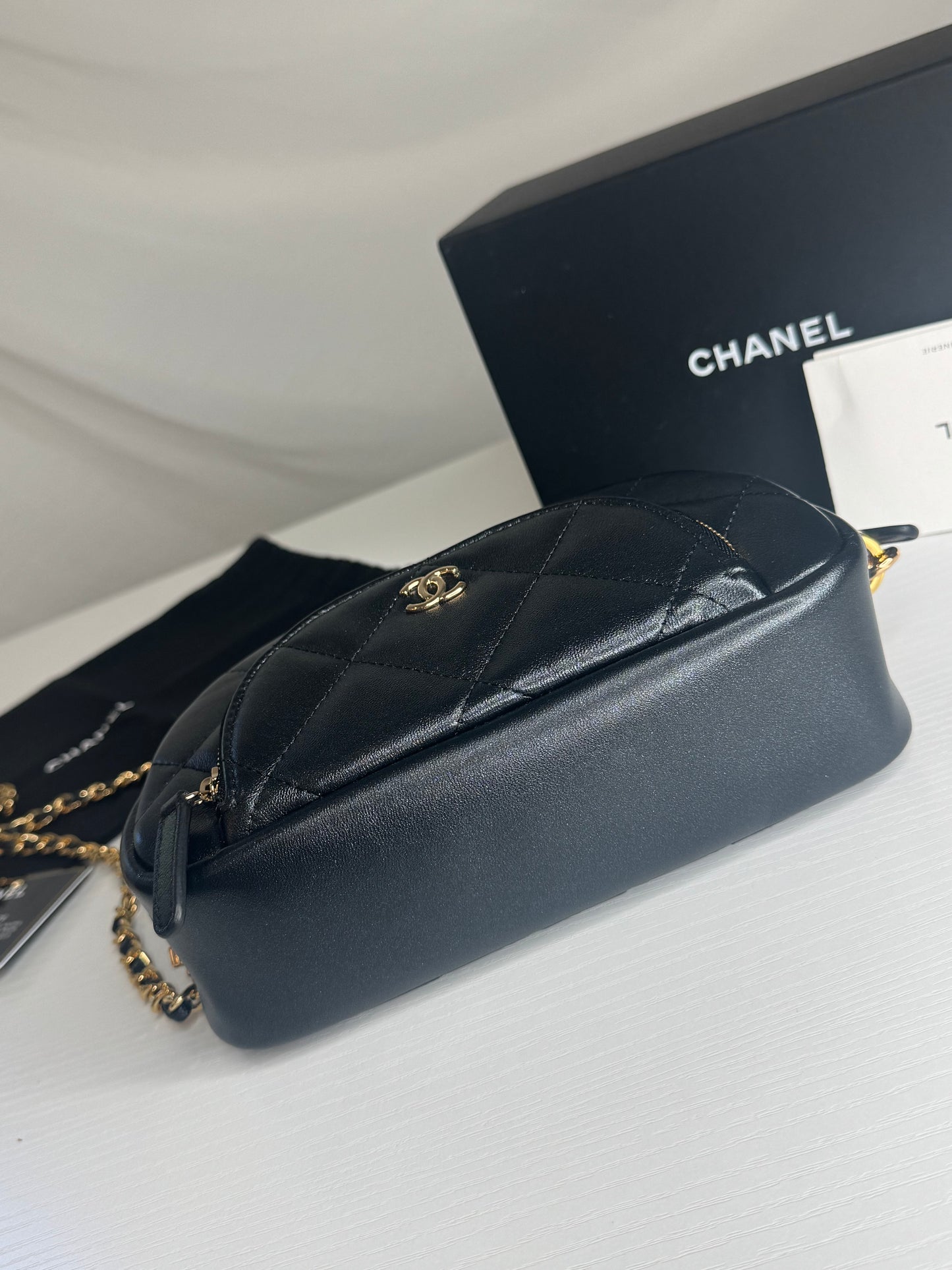 Chanel Iridescent Cosmetic Pouch