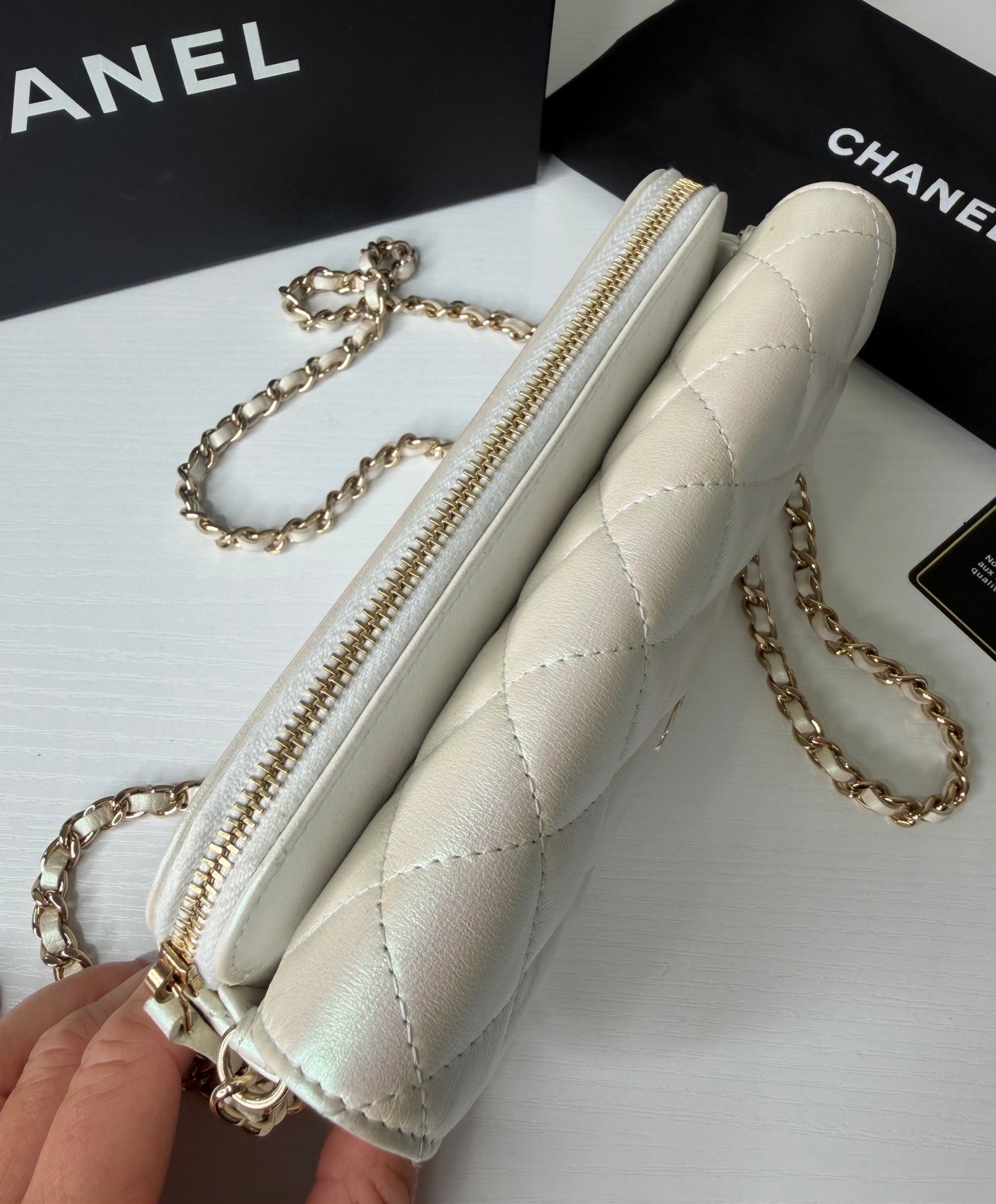 Chanel Iridescent Flap Bag