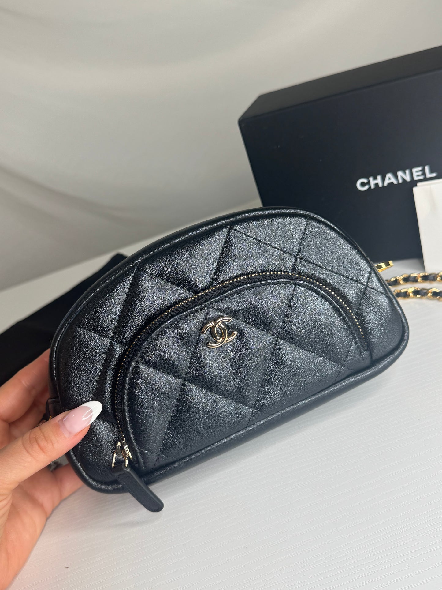 Chanel Iridescent Cosmetic Pouch