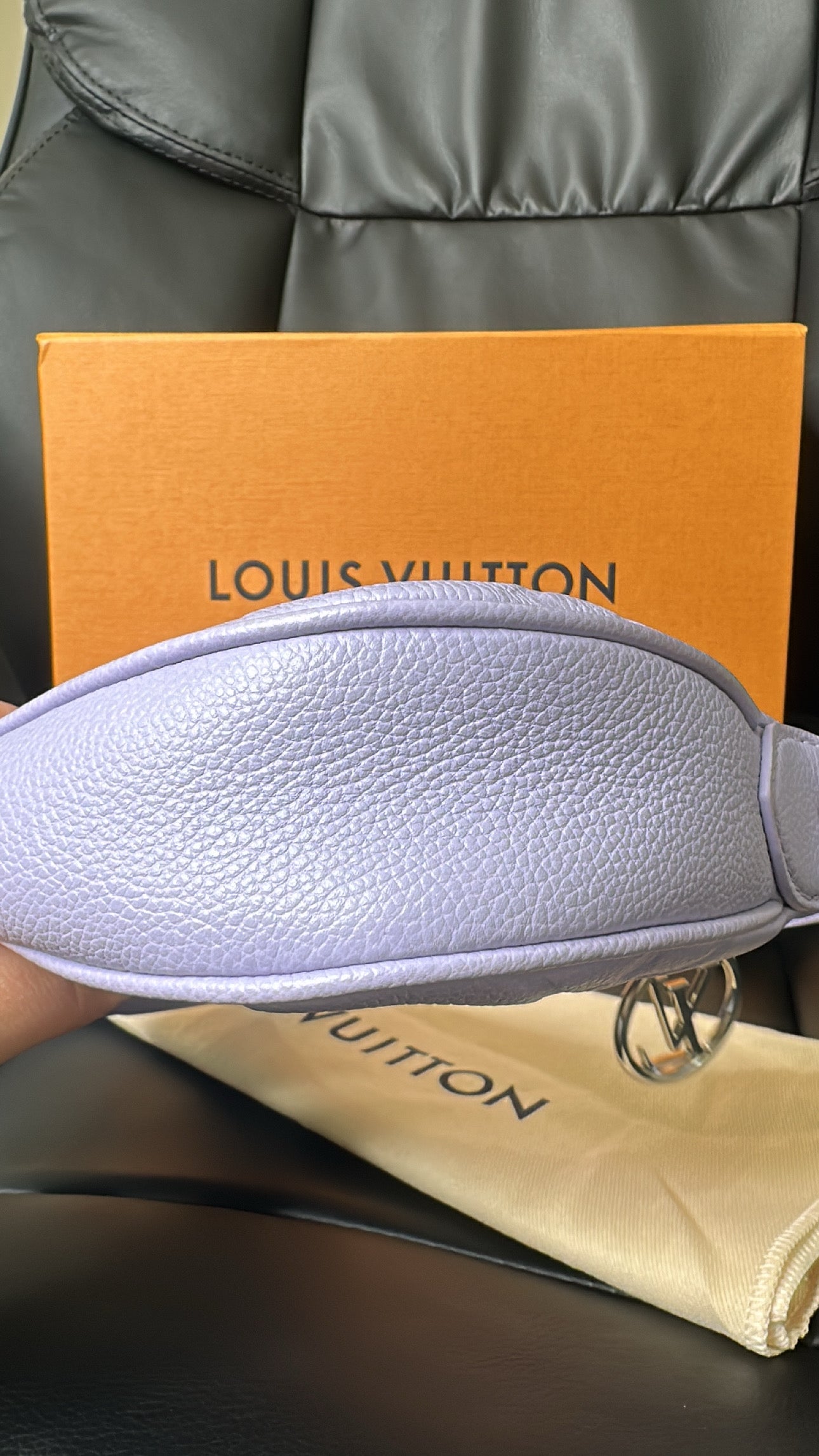 LV Mini Moon Bag