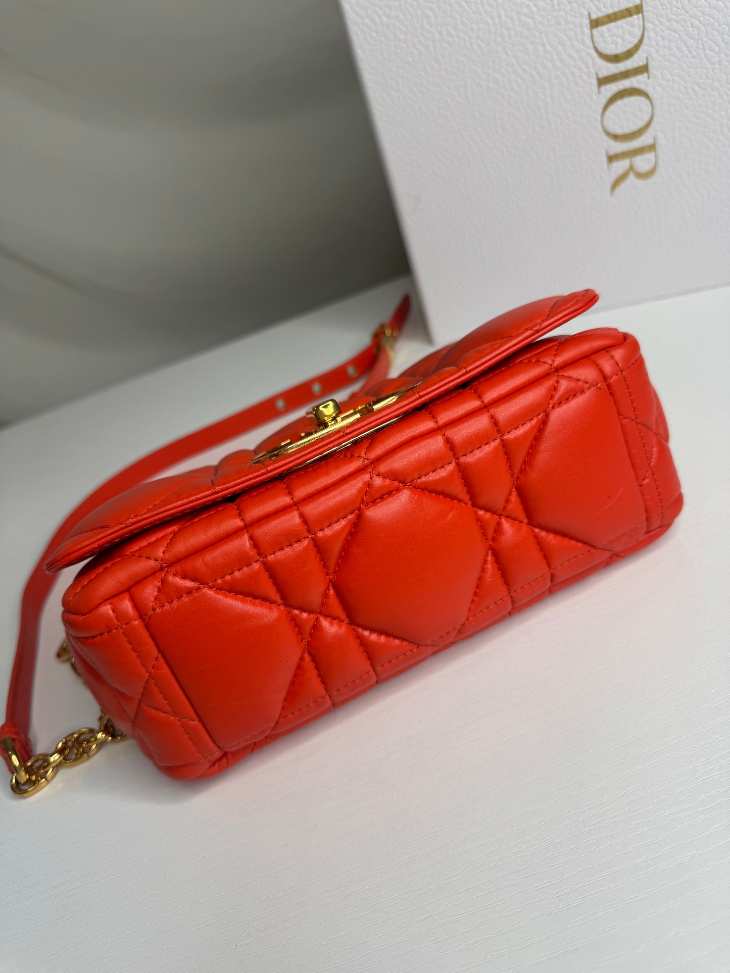Dior Caro Canage Bag