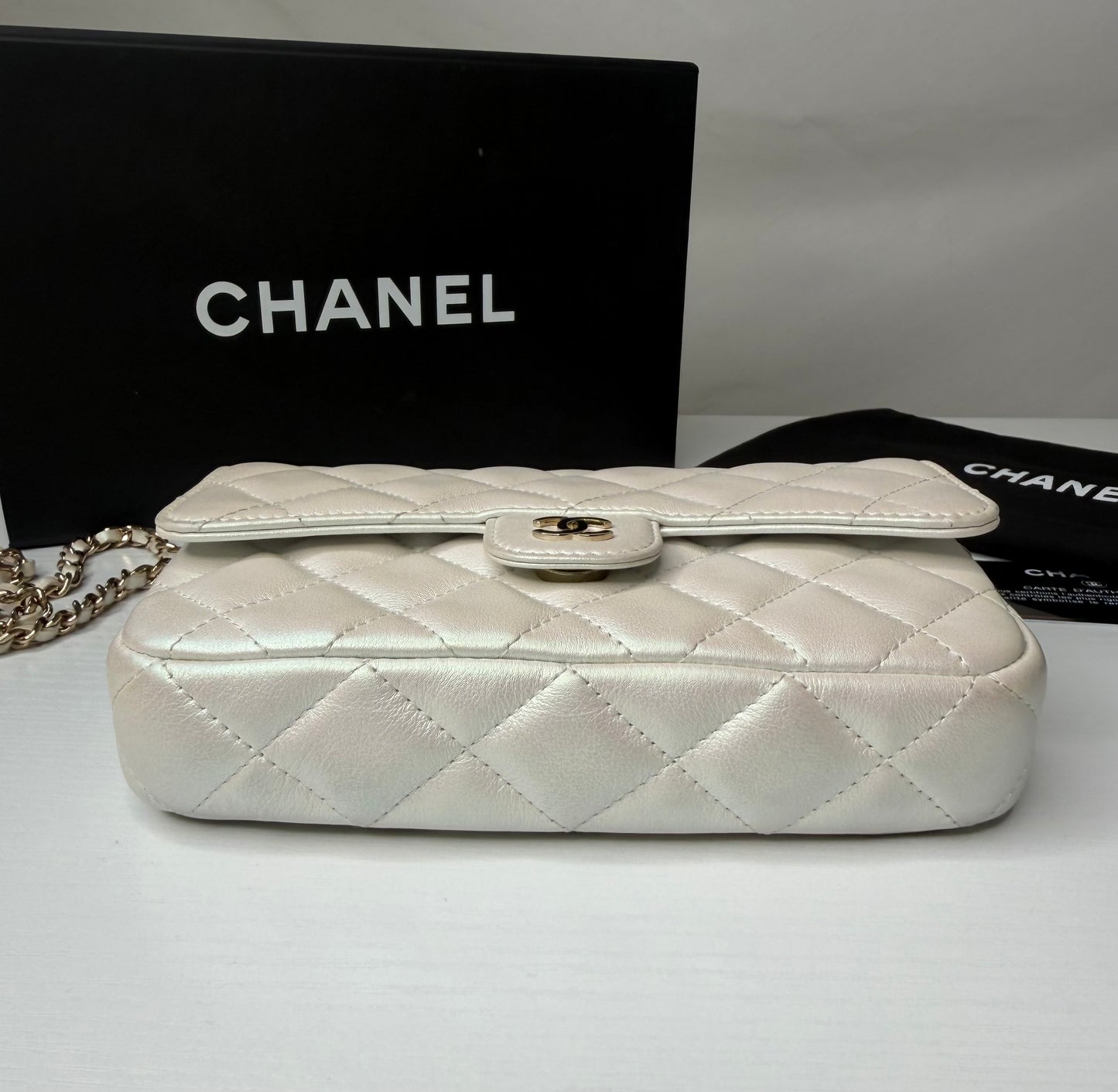 Chanel Iridescent Flap Bag
