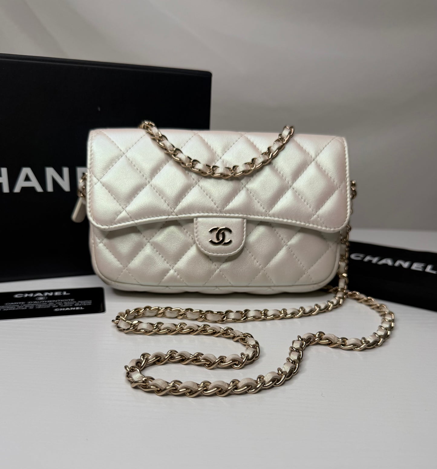 Chanel Iridescent Flap Bag
