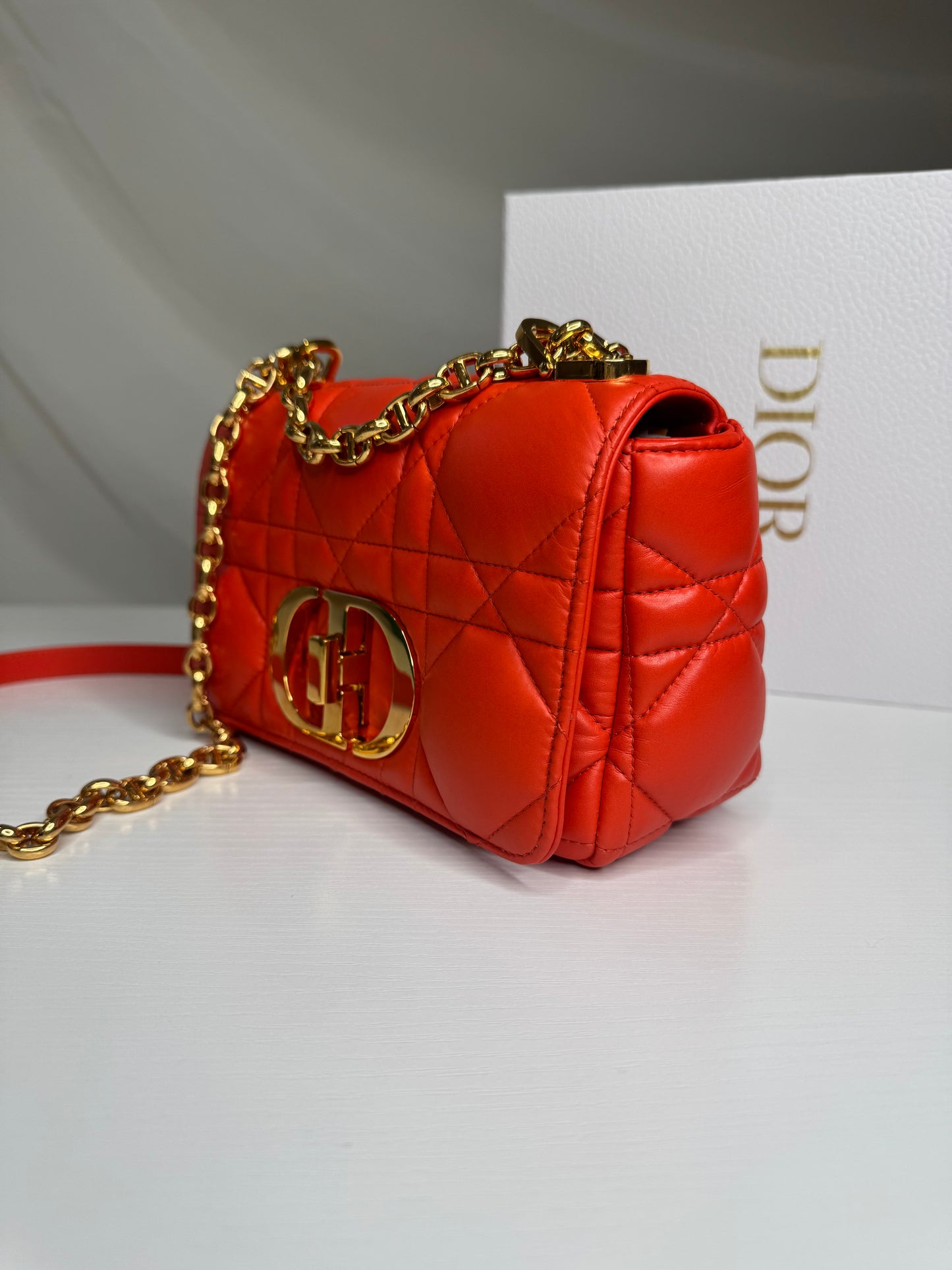 Dior Caro Canage Bag