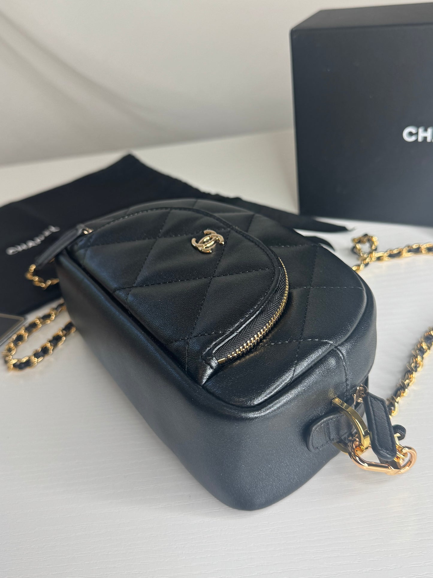 Chanel Iridescent Cosmetic Pouch