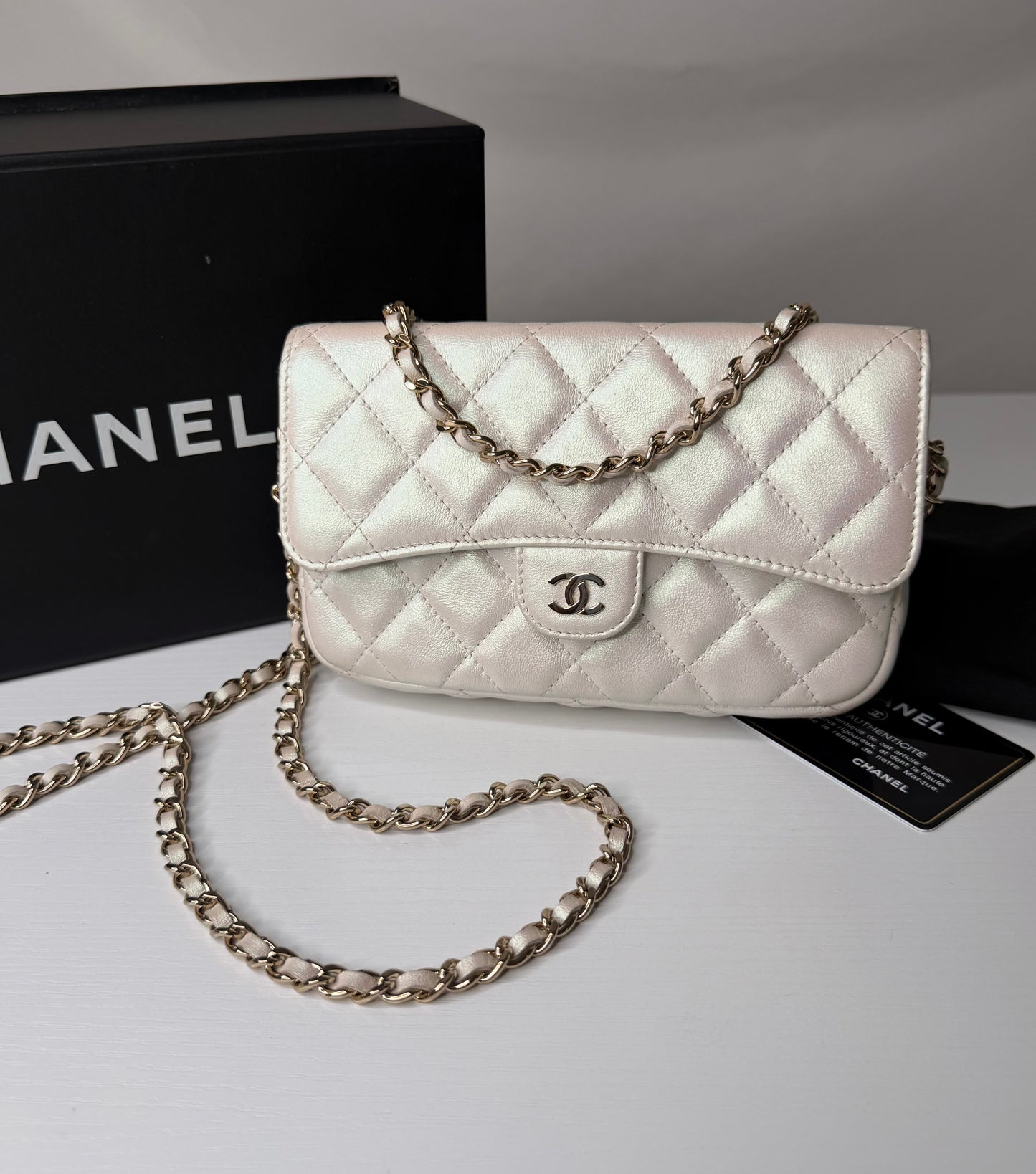 Chanel Iridescent Flap Bag