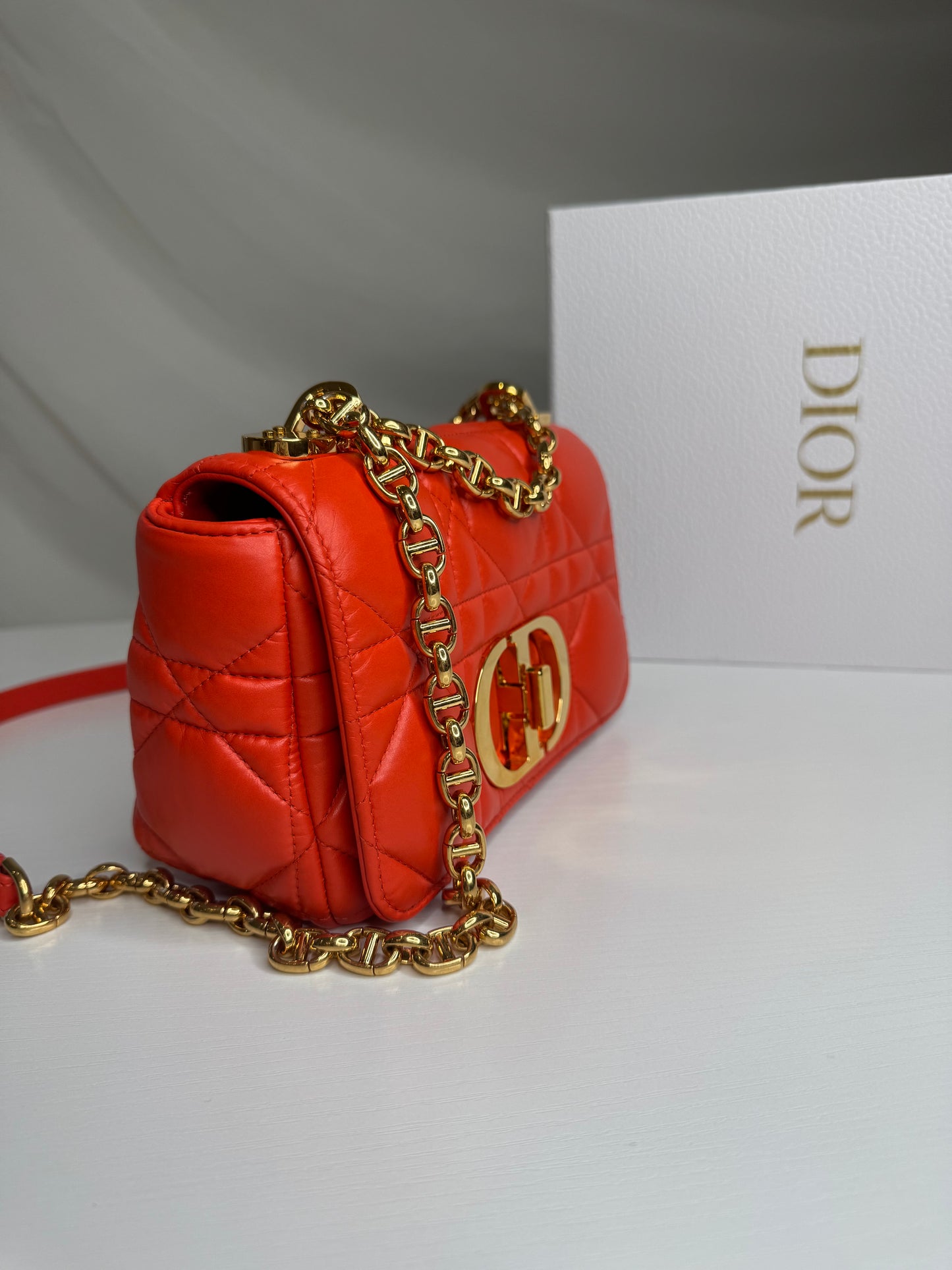 Dior Caro Canage Bag
