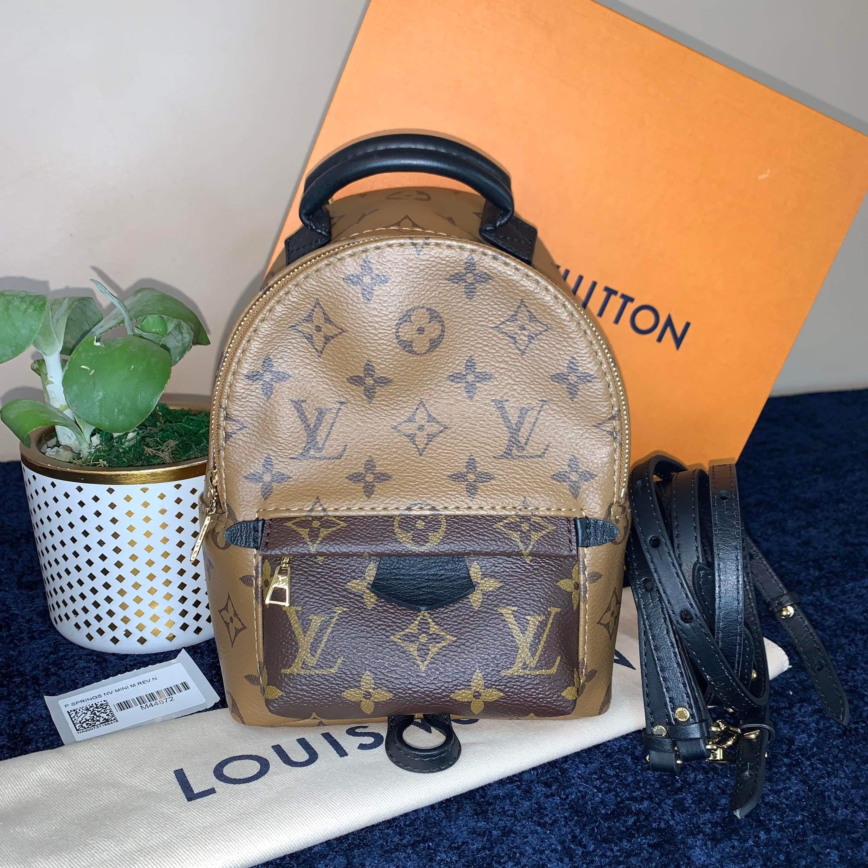 Palm Springs Mini Reverse – Viks Luxury